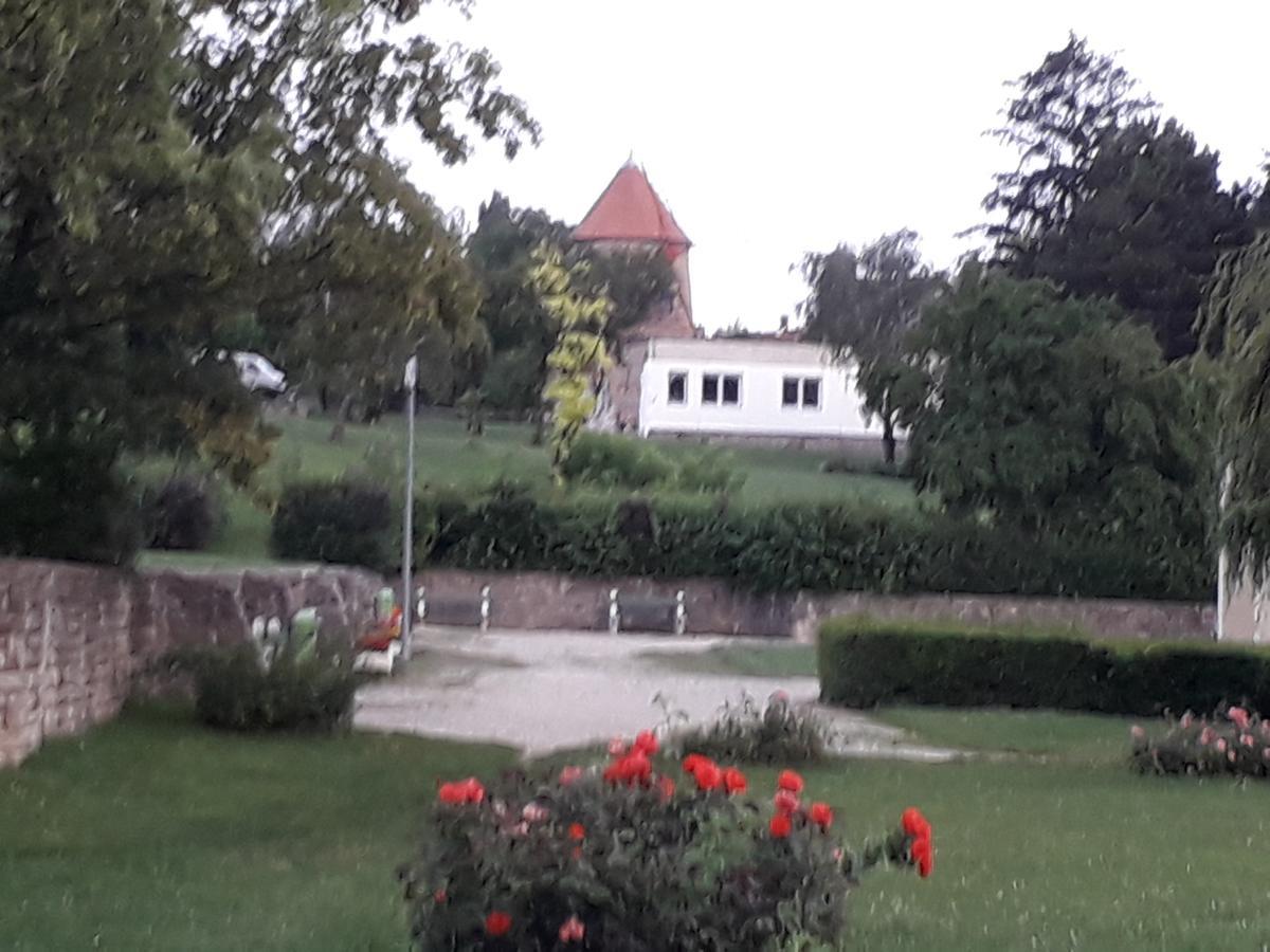 Bed and Breakfast Fenyes Vinorium Шопрон Екстер'єр фото
